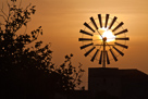 Windmühle im Sonnenuntergang