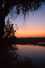 Abendstimmung am Chobe River